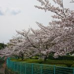 新年度に思う